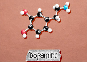 ドーパミン画像